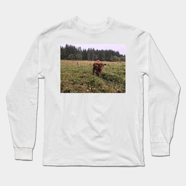 Scottish Highland Cattle Calf 1548 Long Sleeve T-Shirt by SaarelaHighland